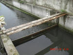 CIMG2811.JPG
