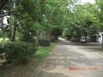 CIMG2814.JPG