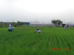 CIMG2882.JPG