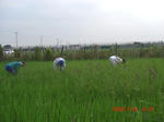 CIMG2884.JPG
