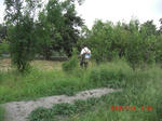 CIMG3002.JPG