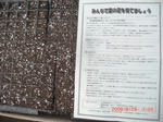 CIMG3715.JPG