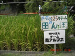 CIMG3870.JPG