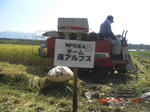CIMG4462.JPG