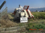 CIMG4463.JPG