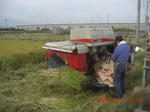 CIMG4474.JPG