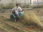 CIMG4803.JPG