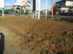 CIMG4830.JPG