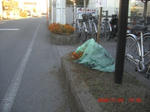 CIMG4832.JPG