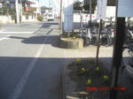 CIMG4844.JPG