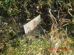 CIMG5232.JPG