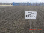 CIMG5257.JPG