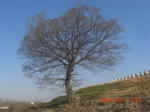 CIMG5414.JPG