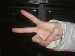 CIMG5440.JPG