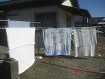 CIMG5673.JPG