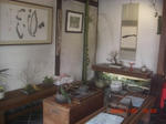CIMG5746.JPG