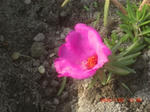 CIMG5837.JPG