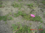 CIMG6067.JPG