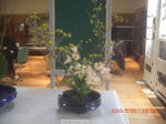 CIMG6174.JPG