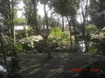 CIMG6289.JPG