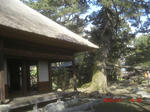 CIMG6290.JPG