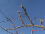 CIMG6299.JPG