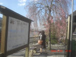 CIMG6504.JPG