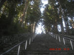 CIMG6509.JPG