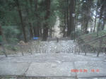 CIMG6510.JPG