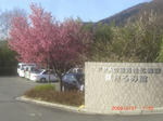 CIMG6517.JPG