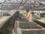 CIMG6577.JPG