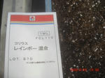 CIMG6608.JPG