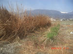 CIMG6689.JPG