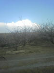 DVC00369.JPG