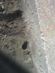 DVC00215.JPG