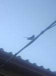 DVC00323.JPG