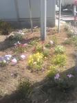 DVC00050.JPG