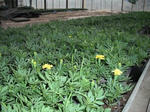 DSCF0005.jpg