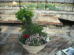DSCF0035.jpg