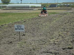 DSCF0030.jpg