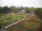 DSCF0088.JPG