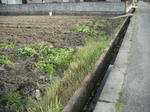 DSCF0153.jpg