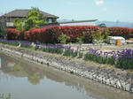 DSCF0169.jpg