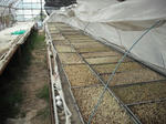 DSCF0273.jpg