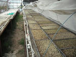 DSCF0272.jpg