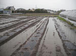 DSCF0283.jpg