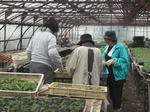 DSCF0295.jpg