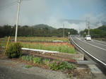 DSCF0323.jpg