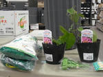 DSCF0387.jpg