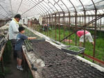 DSCF0420.jpg